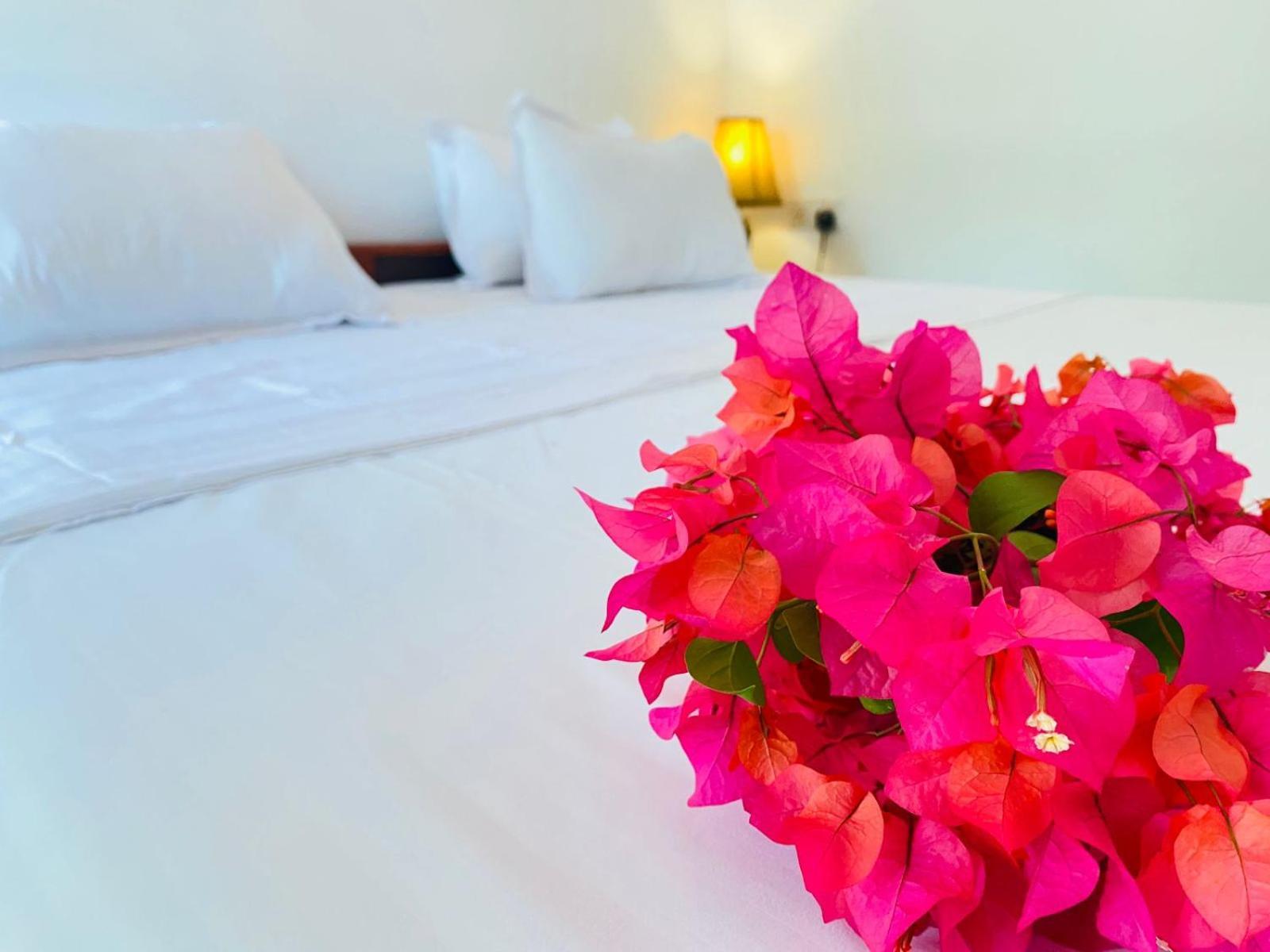 Aaliya Bay Otel Arugam Bay Dış mekan fotoğraf